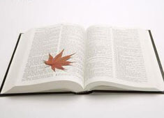 射击赛场精彩纷呈，中国选手惊艳亮相