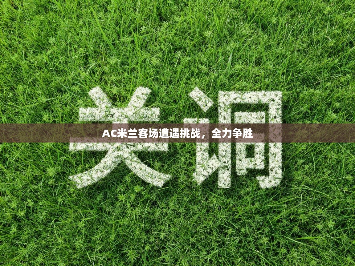 AC米兰客场遭遇挑战，全力争胜  第2张