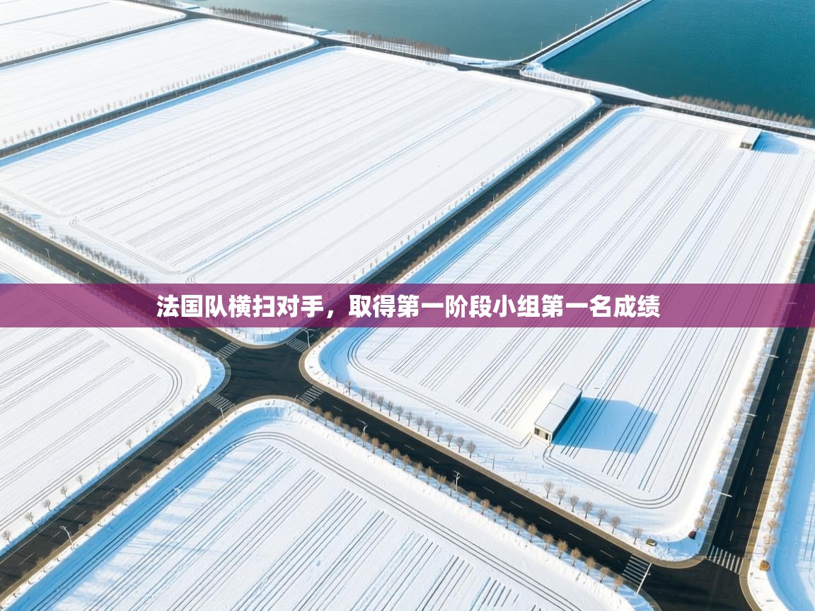 法国队横扫对手，取得第一阶段小组第一名成绩  第1张