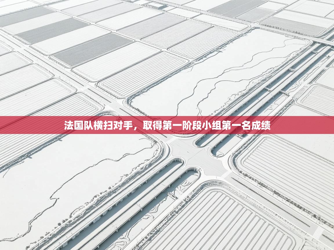 法国队横扫对手，取得第一阶段小组第一名成绩  第2张