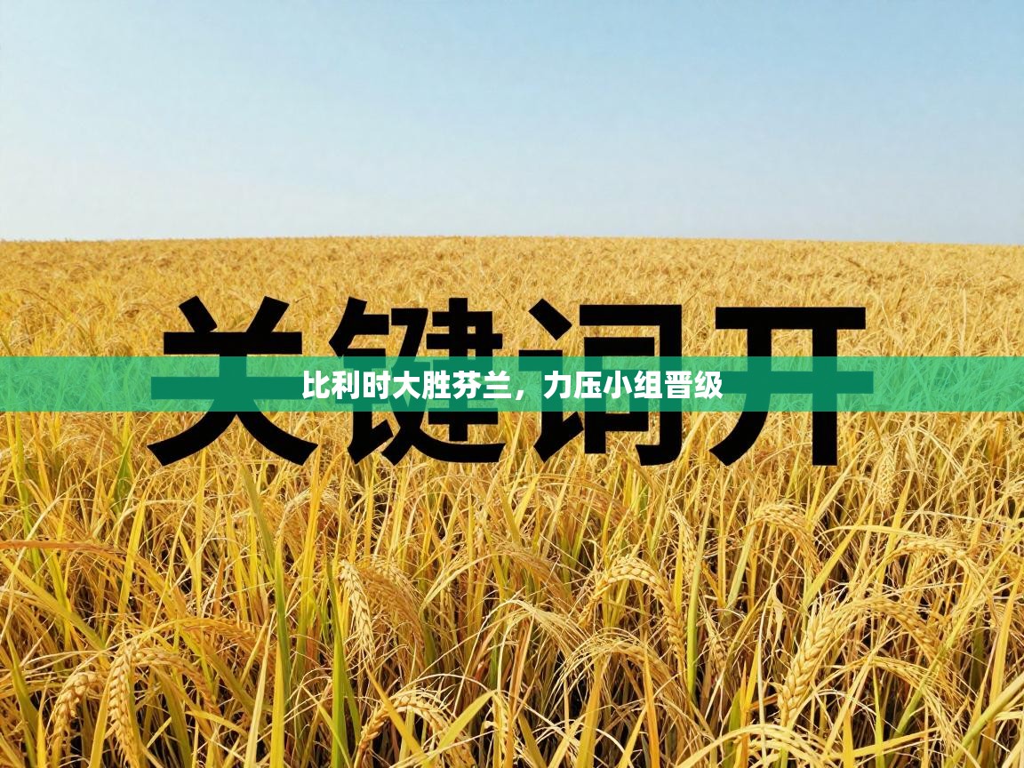 比利时大胜芬兰，力压小组晋级