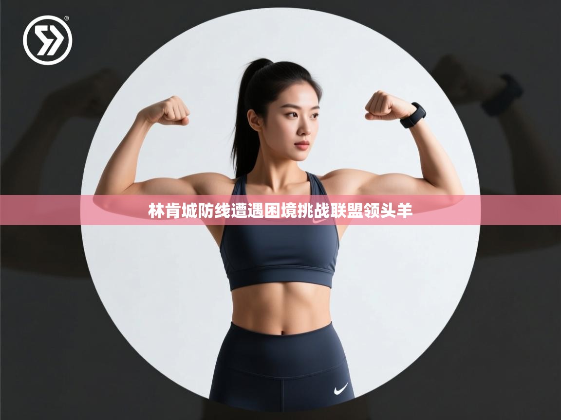 林肯城防线遭遇困境挑战联盟领头羊  第2张