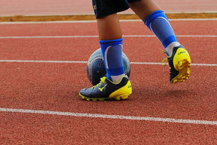 半岛综合体育官方app下载-门兴格拉德巴赫力克对手，稳步前行向成功迈进，门兴格拉德巴赫主力阵容